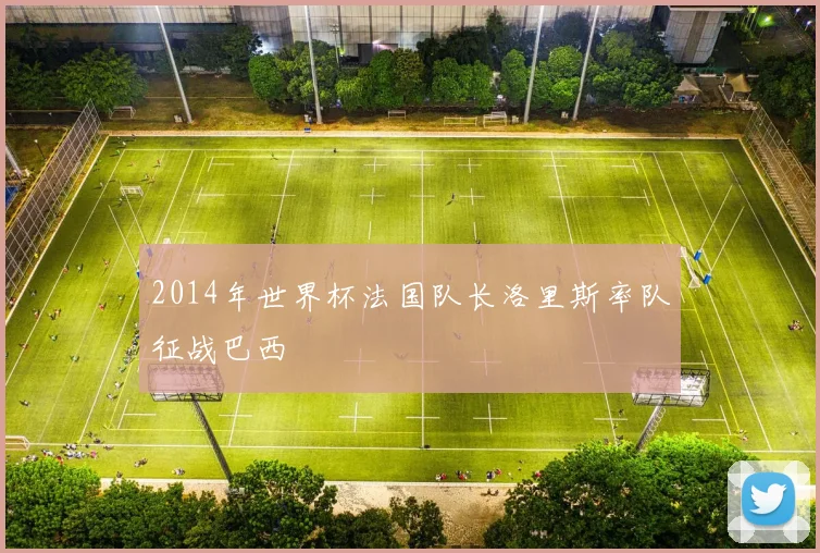 2014年世界杯法国队长洛里斯率队征战巴西