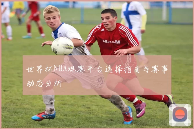 世界杯NBA观赛平台选择指南与赛事动态分析