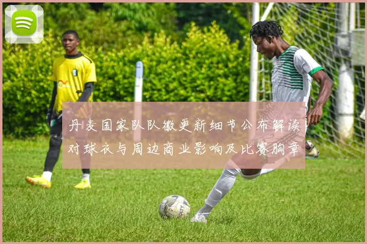 丹麦国家队队徽更新细节公布解读对球衣与周边商业影响及比赛胸章使用