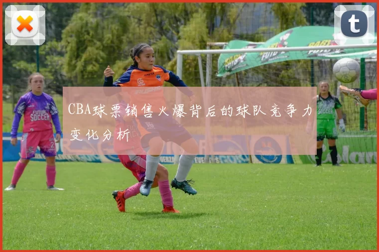 CBA球票销售火爆背后的球队竞争力变化分析