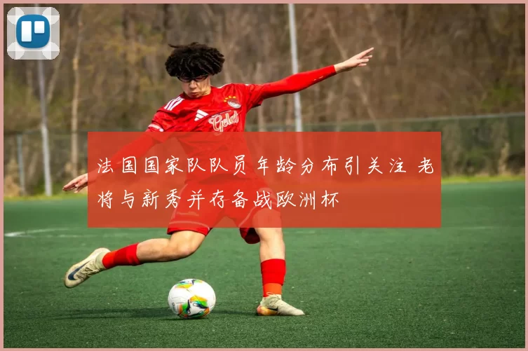 法国国家队队员年龄分布引关注 老将与新秀并存备战欧洲杯